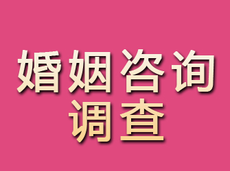 雅安婚姻咨询调查