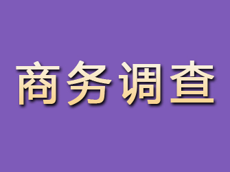 雅安商务调查